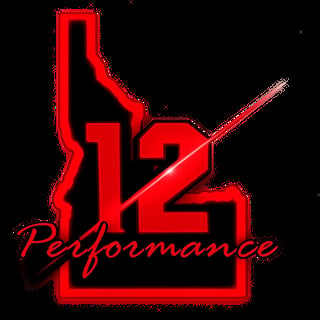 12 Performance logo