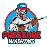 1st Due Pressure Washing and Gutter Cleaning LLC logo