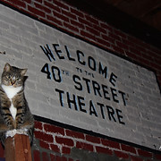 40th Street Theatre logo