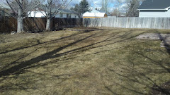 A.J Lawn Care logo