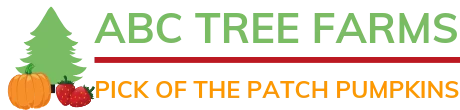 ABC Tree Farms Summer Fun Zone, Pumpkin Patch & Christmas Trees logo
