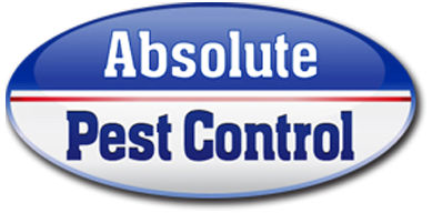 Absolute Pest Control logo