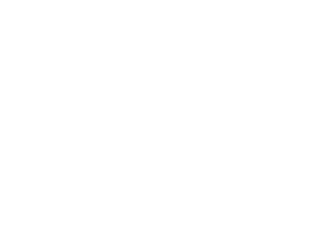 Adirondack Outdoor Design logo