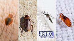 Aerex Pest Control logo