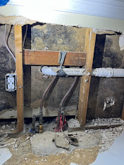 Air Quality Experts Mold Testing & Inspections logo