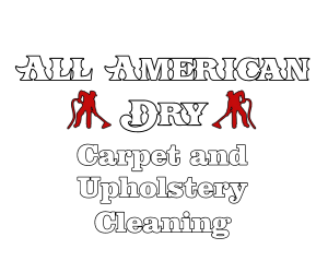 All American Dry Carpet & Upholstery Cleaning logo