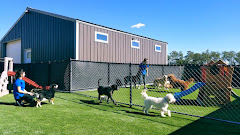 All Dogs Unleashed Dog Training San Antonio logo