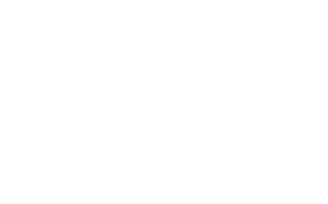 Allegheny Veterinary Services logo