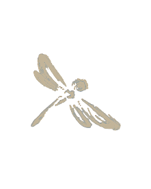 Aquatica logo