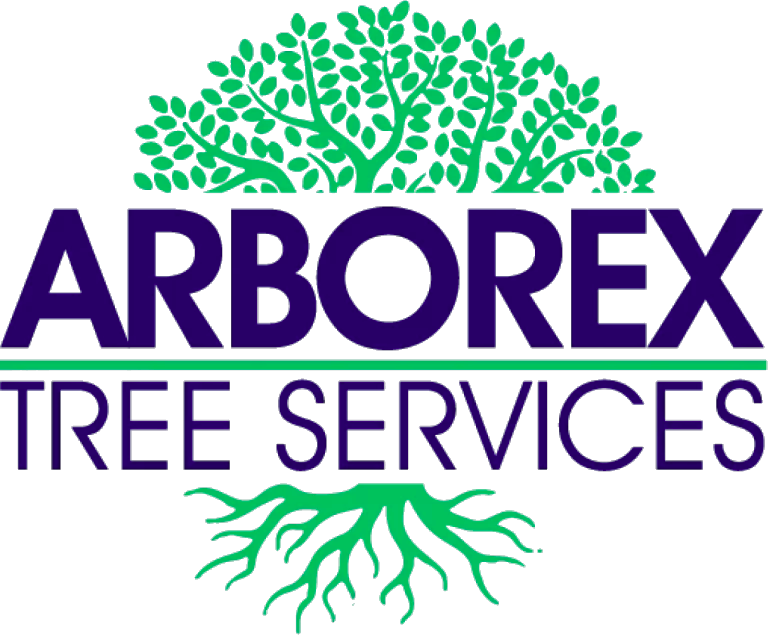 Arborex Tree Services logo