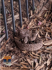 Arizona Snake Fence logo