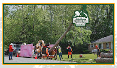 ASAP Tree and Crane Services logo