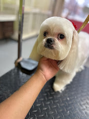 Aurbyn's Bark' N Beauty's Dog Grooming logo