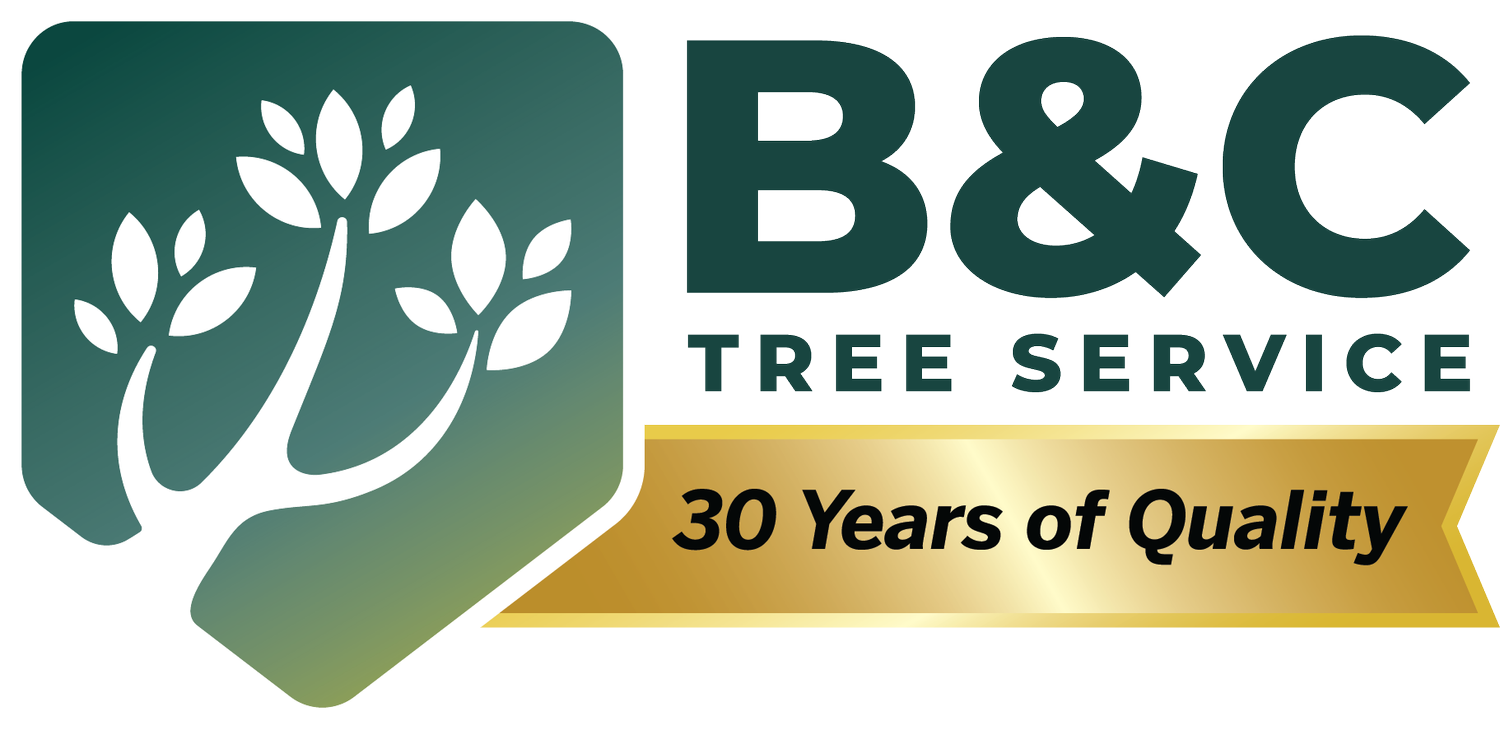 B&C Tree Services logo