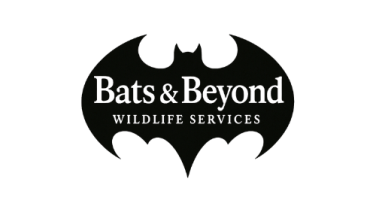 Bats & Beyond Wildlife Services LLC logo
