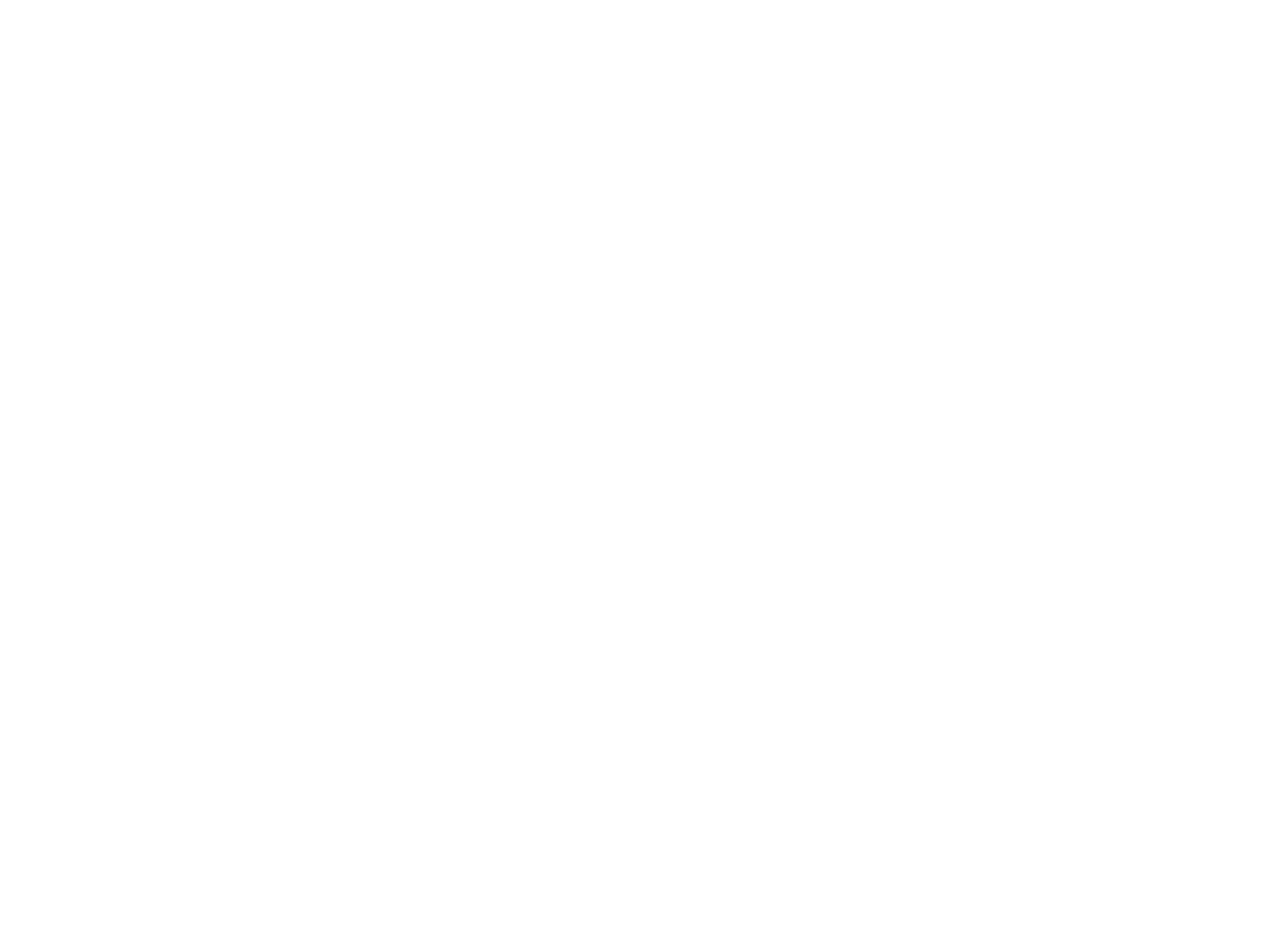 BerryClean logo