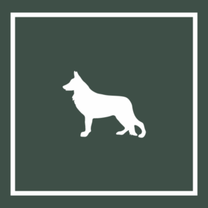 Beyond the Dog, LLC logo