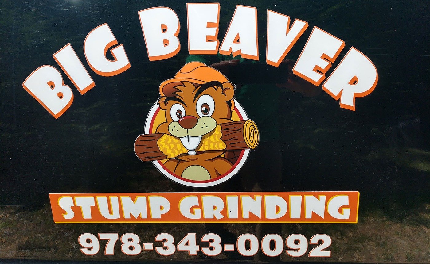 Big Beaver Stump Grinding logo