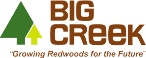 Big Creek Lumber logo