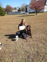 Black Dog Farm - Dog Training logo