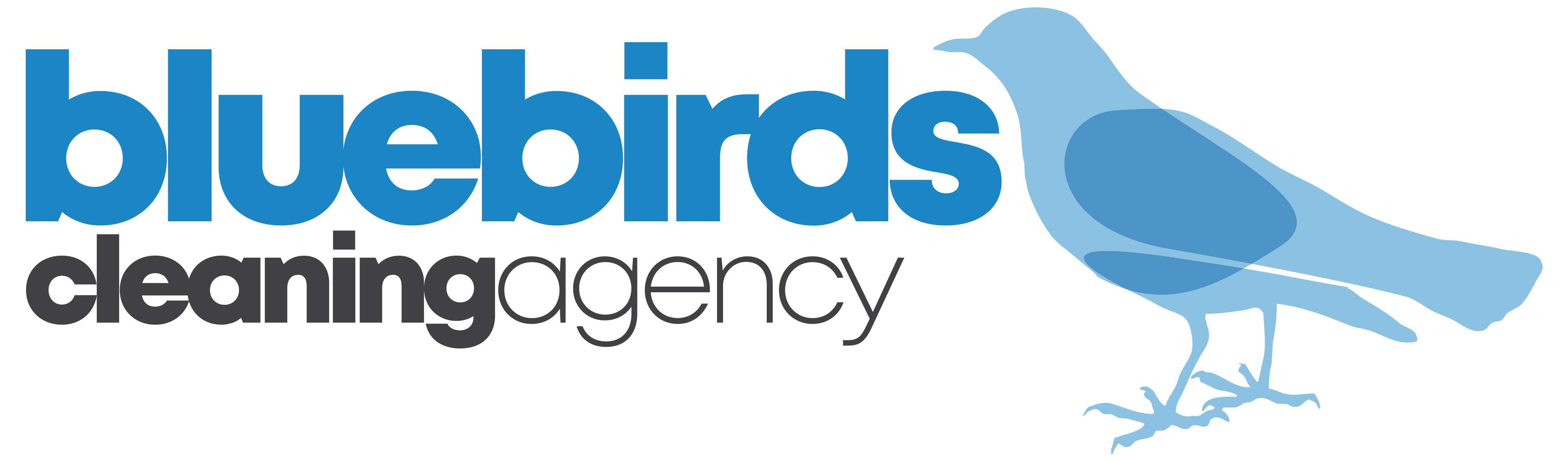 Blue Birds Cleaning Agency logo