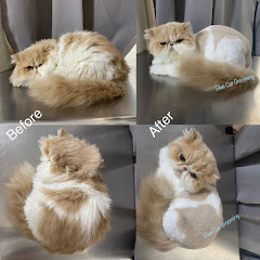 Blue Cat Grooming LLC logo