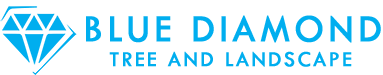 Blue Diamond Tree and Landscape logo