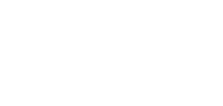Blue Dumpsters Inc logo