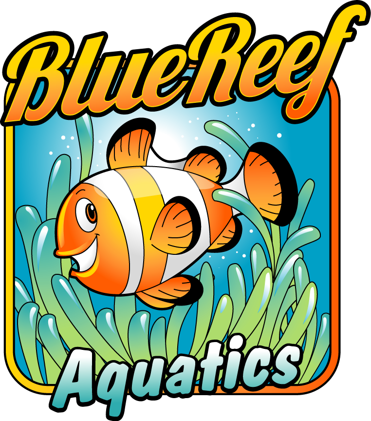 Blue Reef Aquatics logo