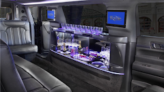 Bluebird Limo Inc logo