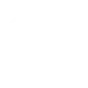 Boston Dream Group logo