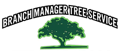 Branch Manager Tree Service logo