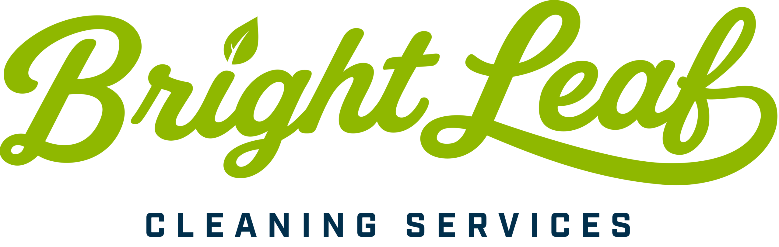 Bright Leaf Cleaning Raleigh logo