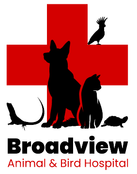 Broadview Animal & Bird Hospital logo