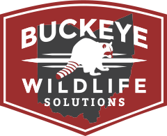 Buckeye Wildlife Solutions logo