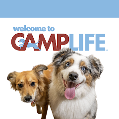Camp Bow Wow Highland Heights logo