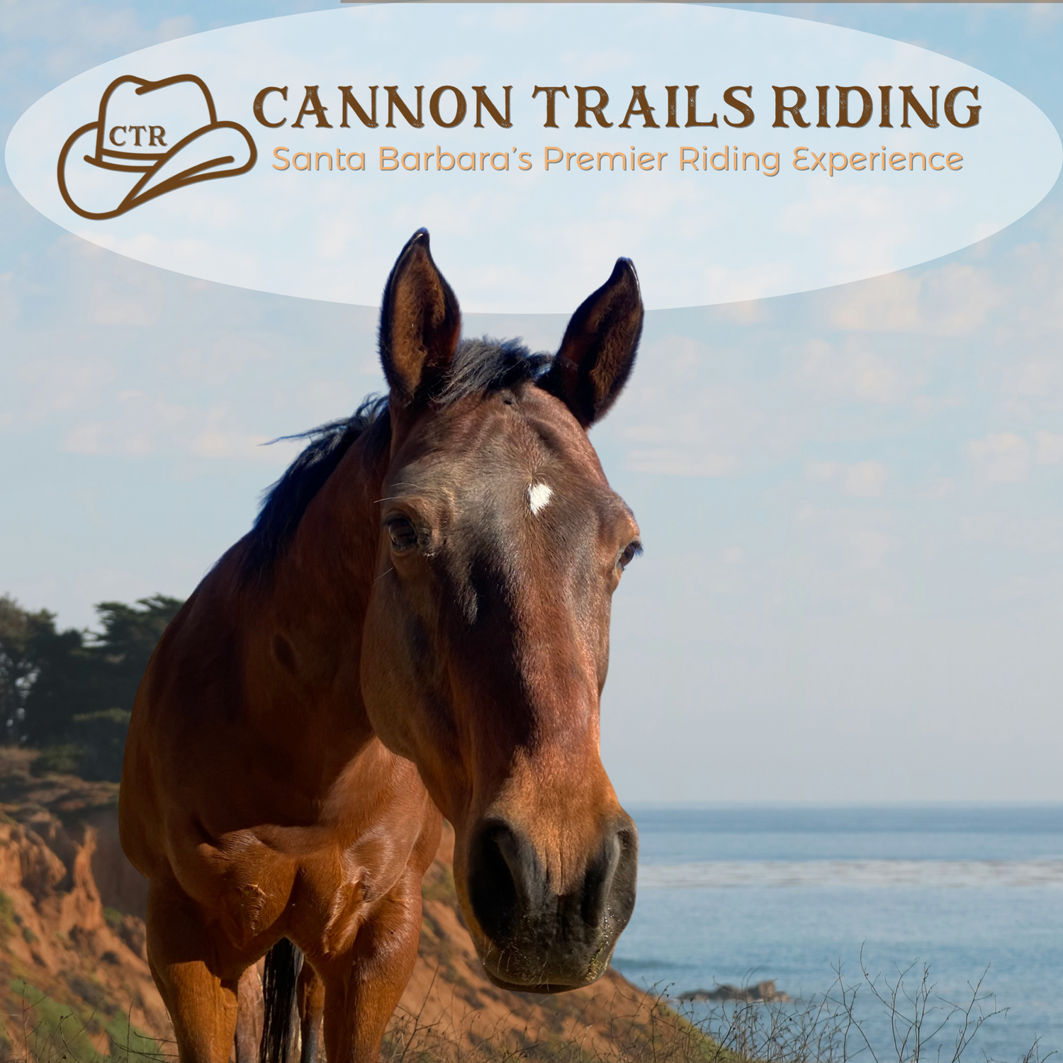 Cannon Trails logo