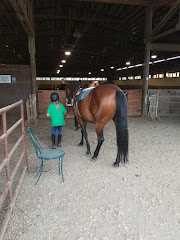 Cantera Equestrian logo