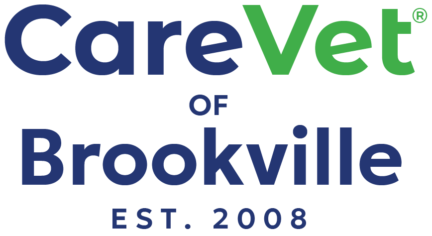 CareVet of Brookville logo