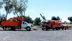 Charles and Charles Tree Service logo