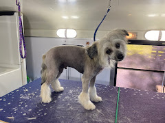 Cheyenne’s Mobile Dog Grooming logo