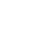Chicago Cleaning Services Group logo