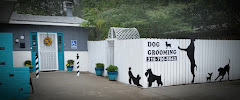 Chisholm Tails Dog Grooming LLC logo