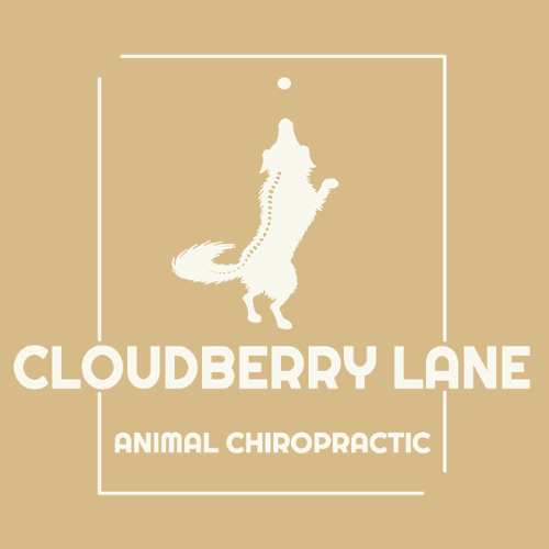 Cloudberry Lane Animal Chiropractic logo