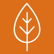 Clove Cleaning logo