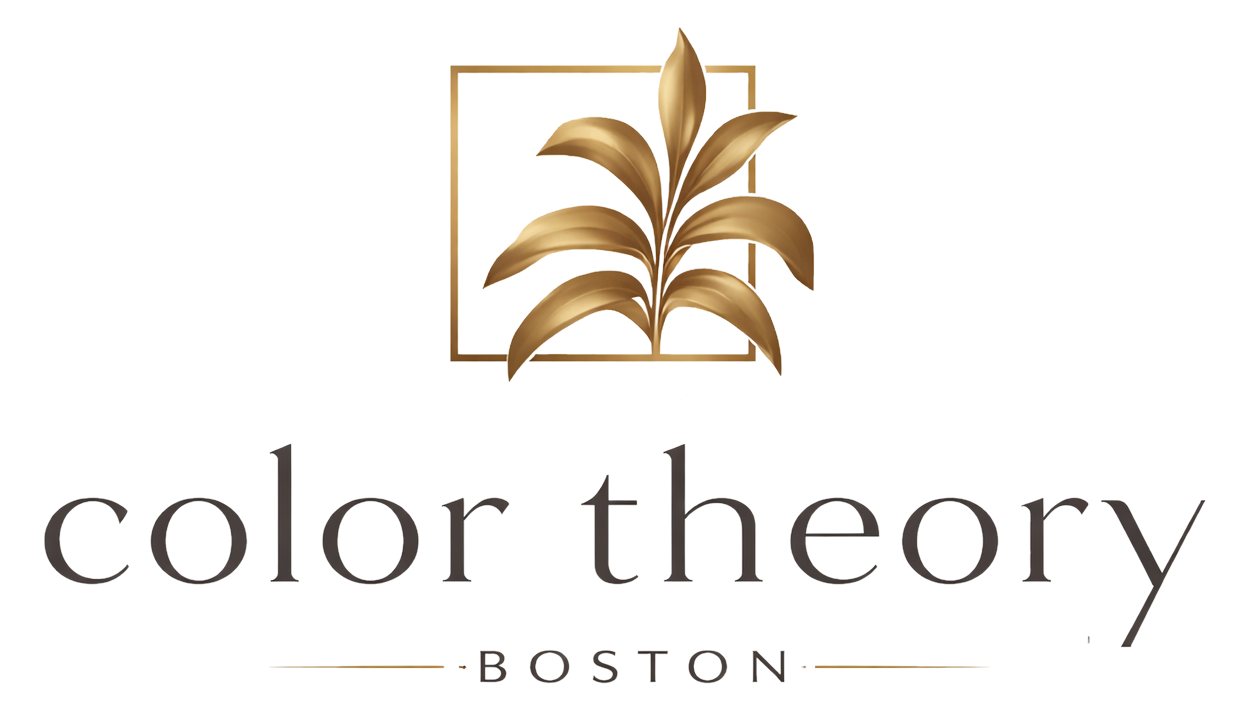 color theory Boston logo
