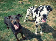 Cornwallis Road Animal Hospital logo