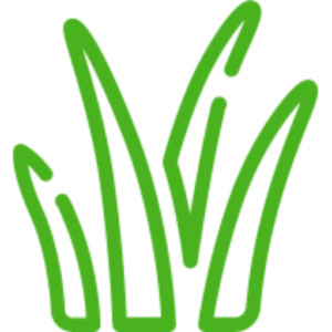 Cory's Lawn Service logo