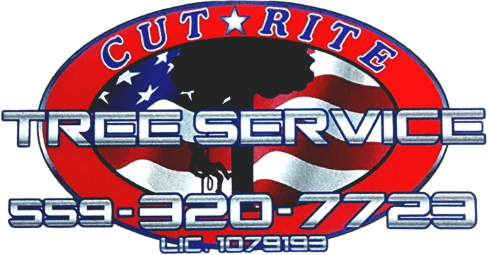 Cut Rite Tree Service Fresno logo