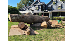 Cutting Edge Tree and Landscaping LLC logo